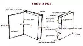 <p>(books)</p>