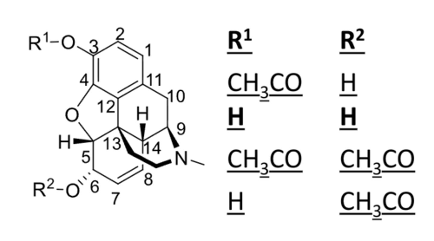<p>- alcoholic OH is not important for activity</p><p>- masking 6-OH does not decrease analgesic activity, it often increases activity due to increased hydrophobicity </p>