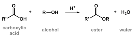 <ul><li><p>two molecules combine to form a single, bigger molecule</p></li><li><p>water is usually produced in the reaction</p></li><li><p>Carboxylic acid and alcohol can CONDENSE to form an ESTER</p></li></ul>