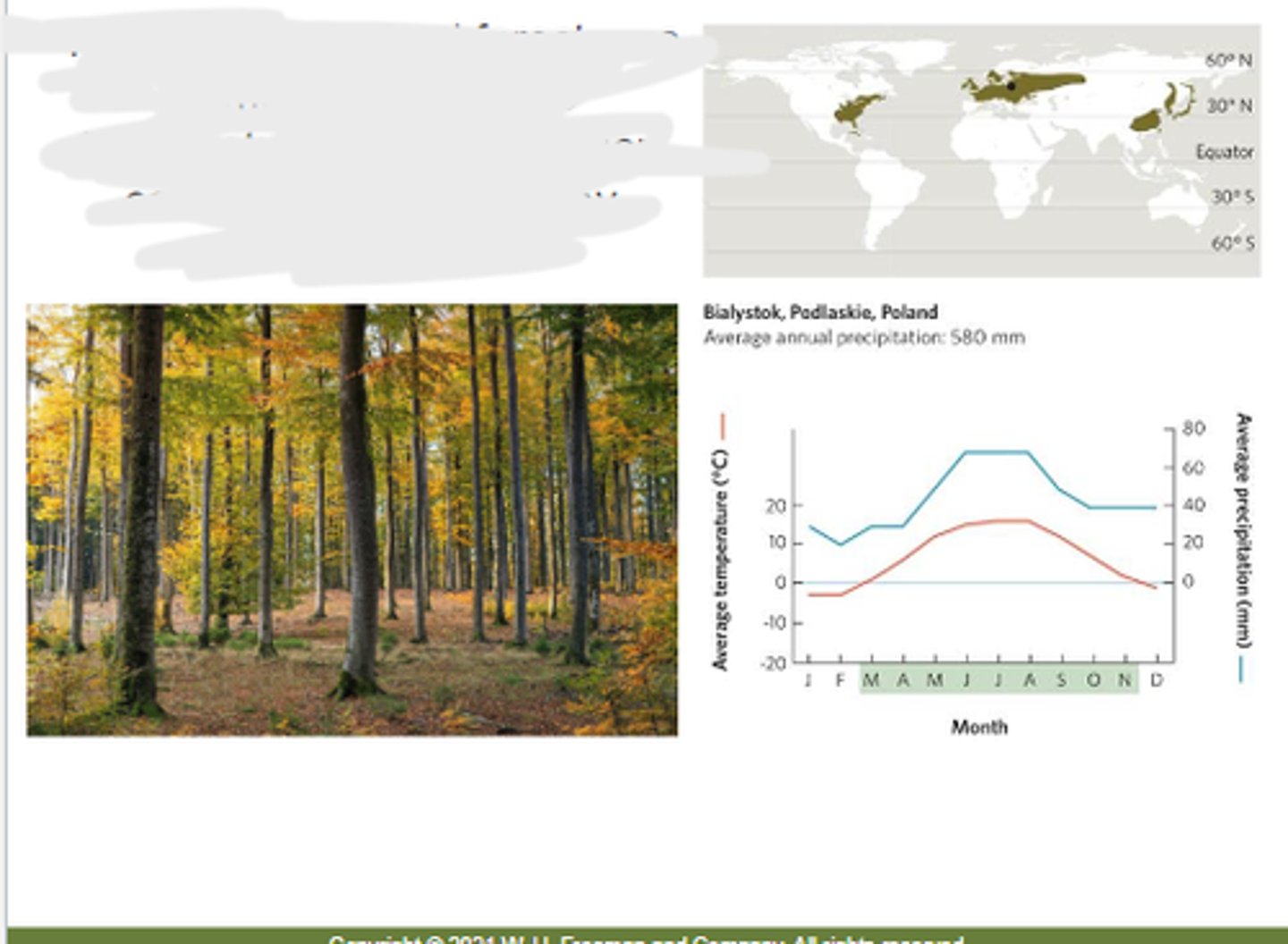 <p>a biome with moderate temperature and precipitation conditions, dominated by deciduous trees</p>
