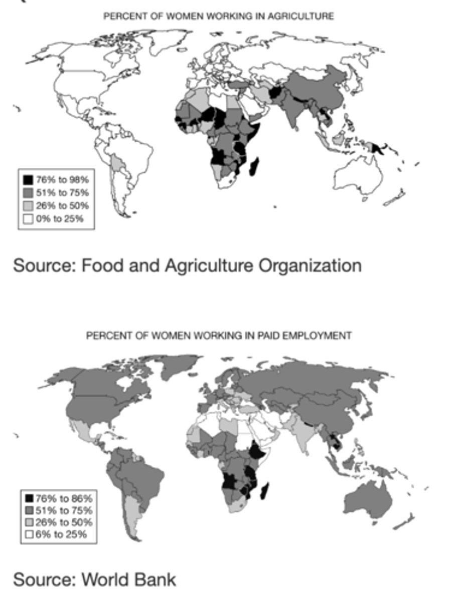 <p>B) Many women in these regions work on farms and grow food for their families, but not all are paid to do this work.</p>