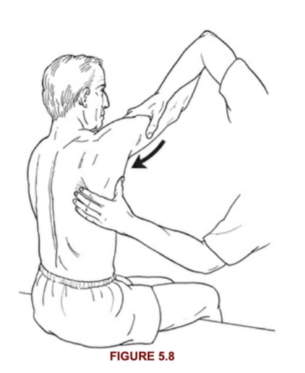<p>5: Scapula stays ABD and rotated against max resistance</p><p>4: Scapular muscles "give" against max resistance</p>