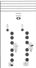 <p>Note name?</p>