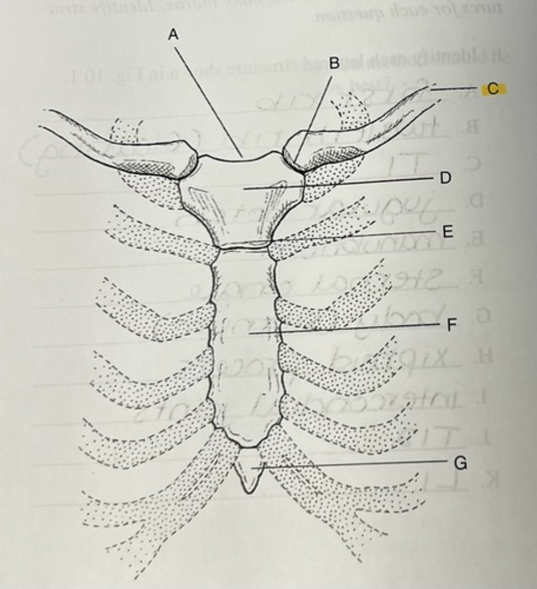 knowt flashcard image