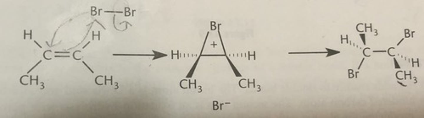 <p>Electrophilic Addition (dihalides)</p><p>Alkene to Alkane</p><p>Bromonium formation</p><p>Anti-Addition of 2 Br</p>