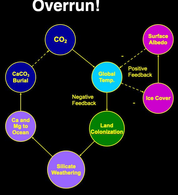 <p>Nuclear winter didn’t last very long – injected lots of ash and sulphur but only approx. 10 yrs – but this was long enough to kill large animals</p><p class="MsoListParagraphCxSpMiddle">This theory:</p><p class="MsoListParagraphCxSpMiddle">Colonisation of and by plants increases silicate weathering and export of calcium magnesium to the ocean and therefore carbonate formation and burial which decreases carbon dioxide concentrations in the atmosphere which reduces global temps.</p><p class="MsoListParagraphCxSpLast"><span style="font-family: "Times New Roman"; line-height: normal; font-size: 7pt;"><span> </span></span>Right now that might be self limiting as if uts gets really cold then its going to be too cold for photosynthesis. The positive feedback loop results in snowball earth. The ice sheets snap close – lots of photosynthesis stops. Theres no bio weathering etc as its all ice. Eventually co2 builds up and up until its so warm that snowball earth begins to melt</p>