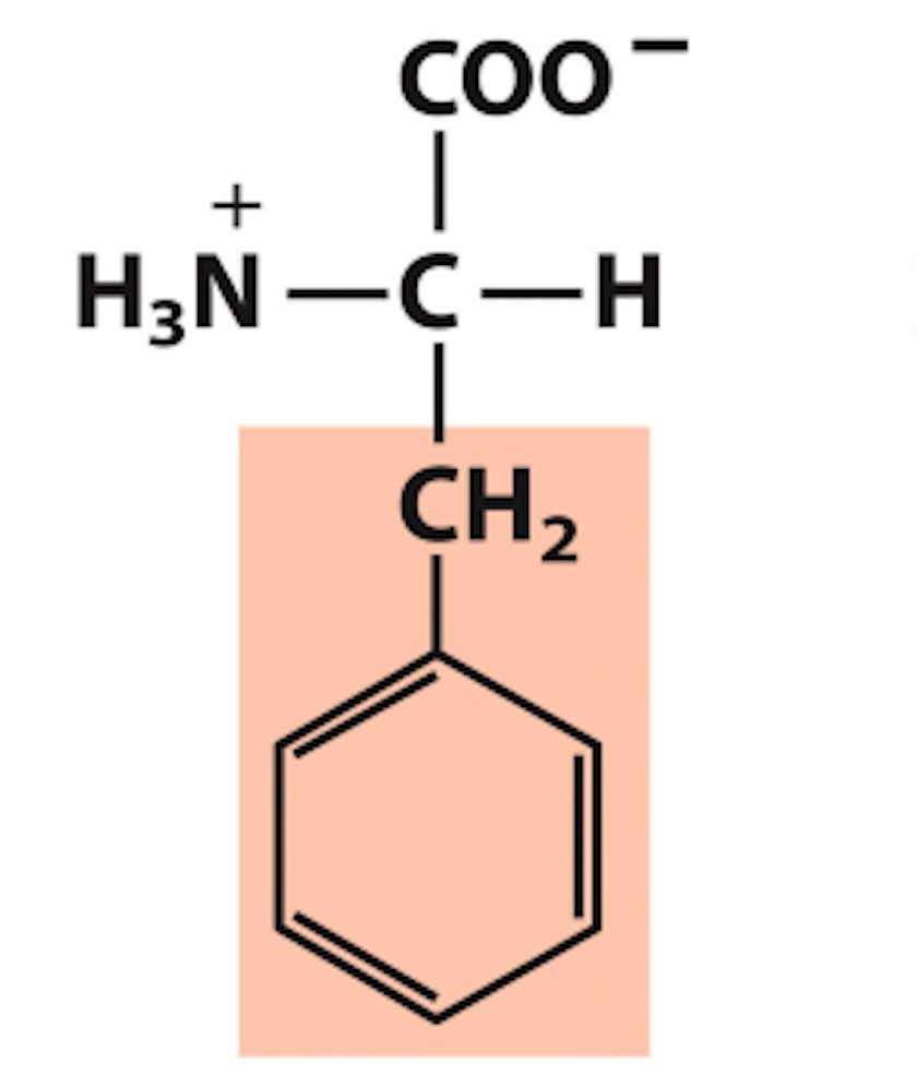 <p>Nonpolar, aromatic</p>