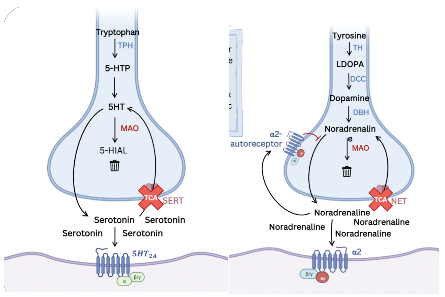 <p>serotonin and/or noradrenaline reuptake inhibition</p>