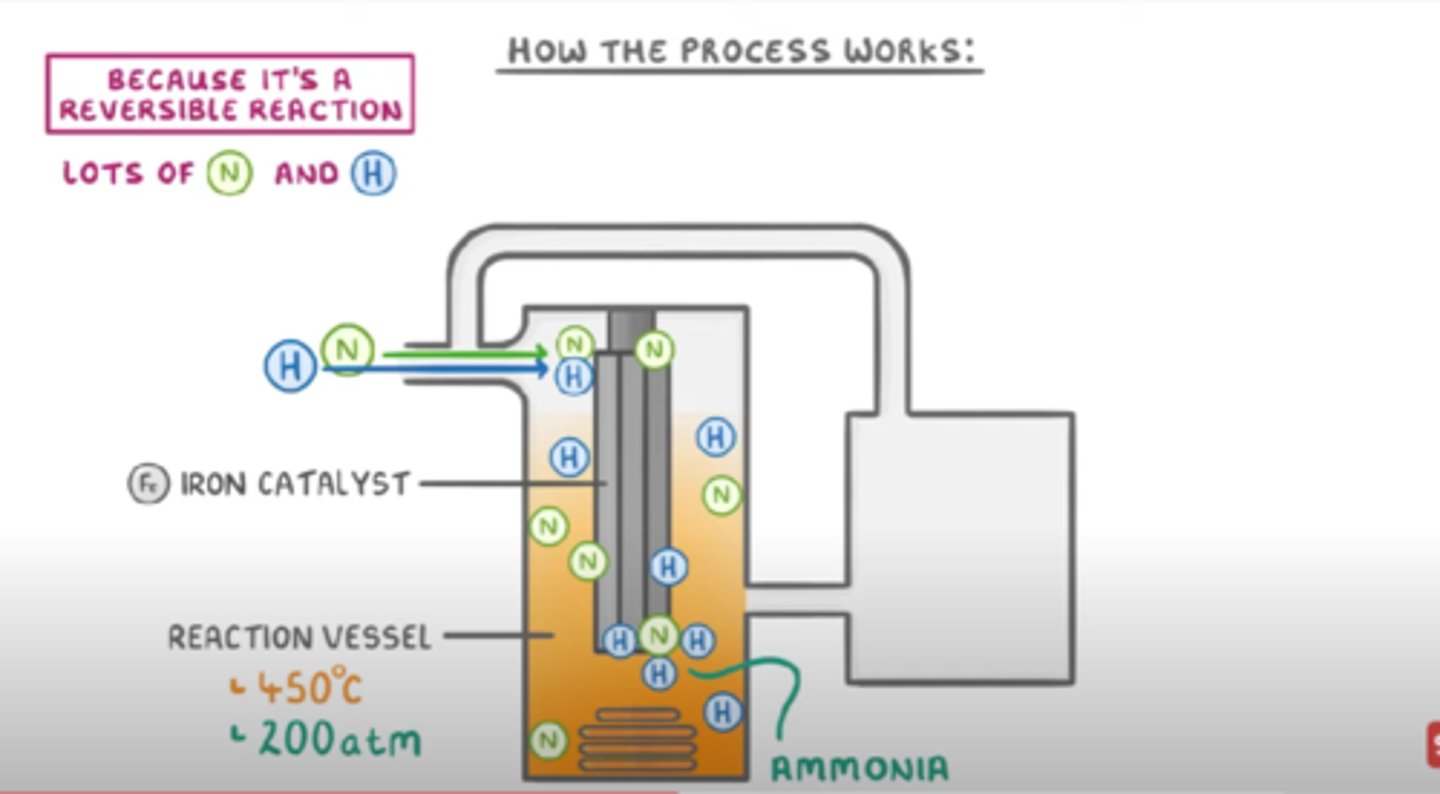 <p>1. A gas stream containing hydrogen and nitrogen enters the system</p><p>2. The nitrogen and hydrogen mixture is compressed to a pressure of 200 atm and heated to 450 degrees</p><p>3. The hydrogen and nitrogen enter a reaction vessel containing iron catalyst</p><p>4. The mixture of gases emerges from the reactor and enters the cooling chamber. The ammonia liquifies and is separated</p><p>5. The unreacted nitrogen and hydrogen are returned to the reaction vessel via the compressor</p>