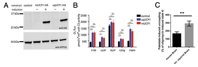 <p>What does this figure show?</p>