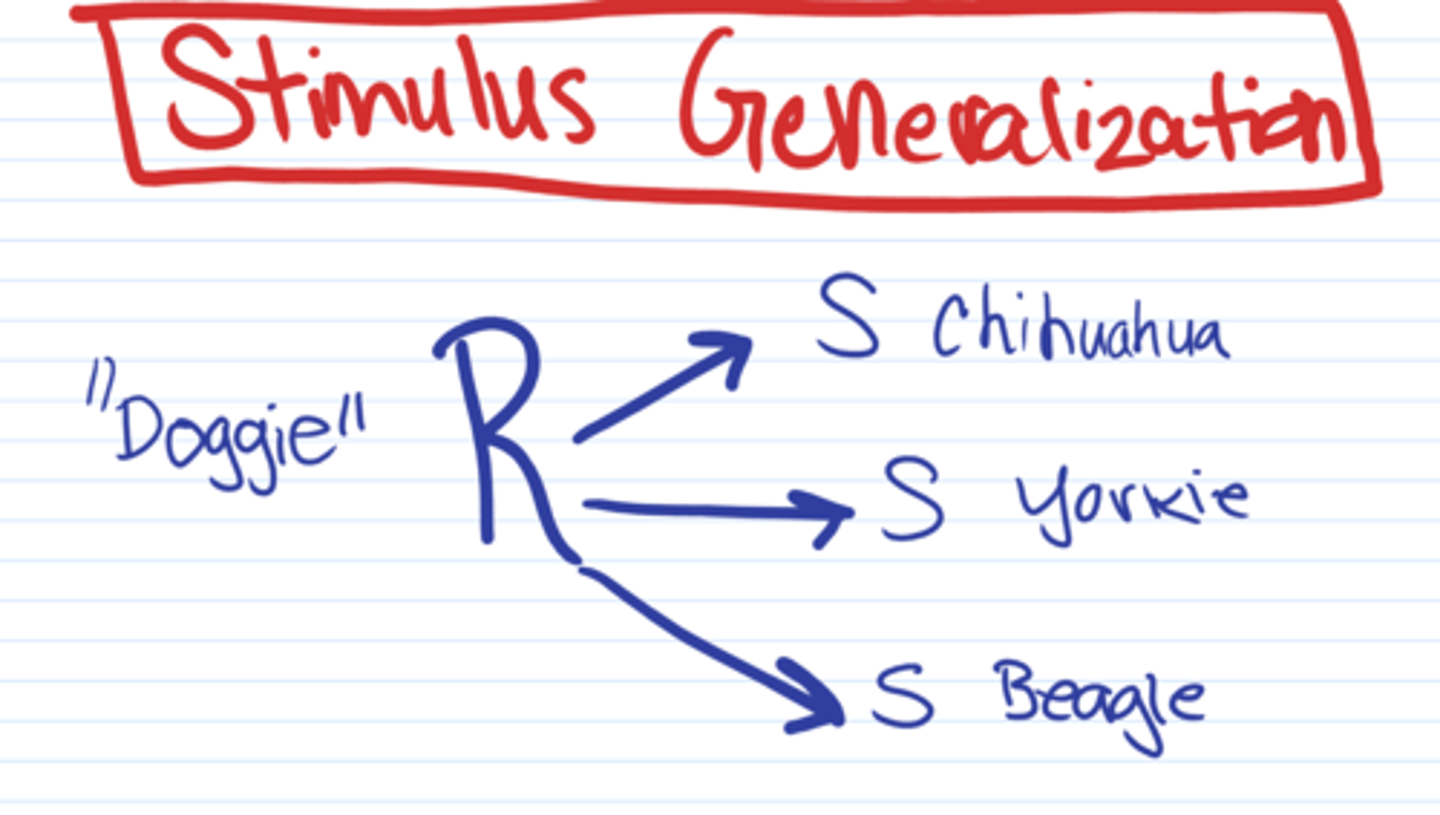<p>stimulus generalization</p>