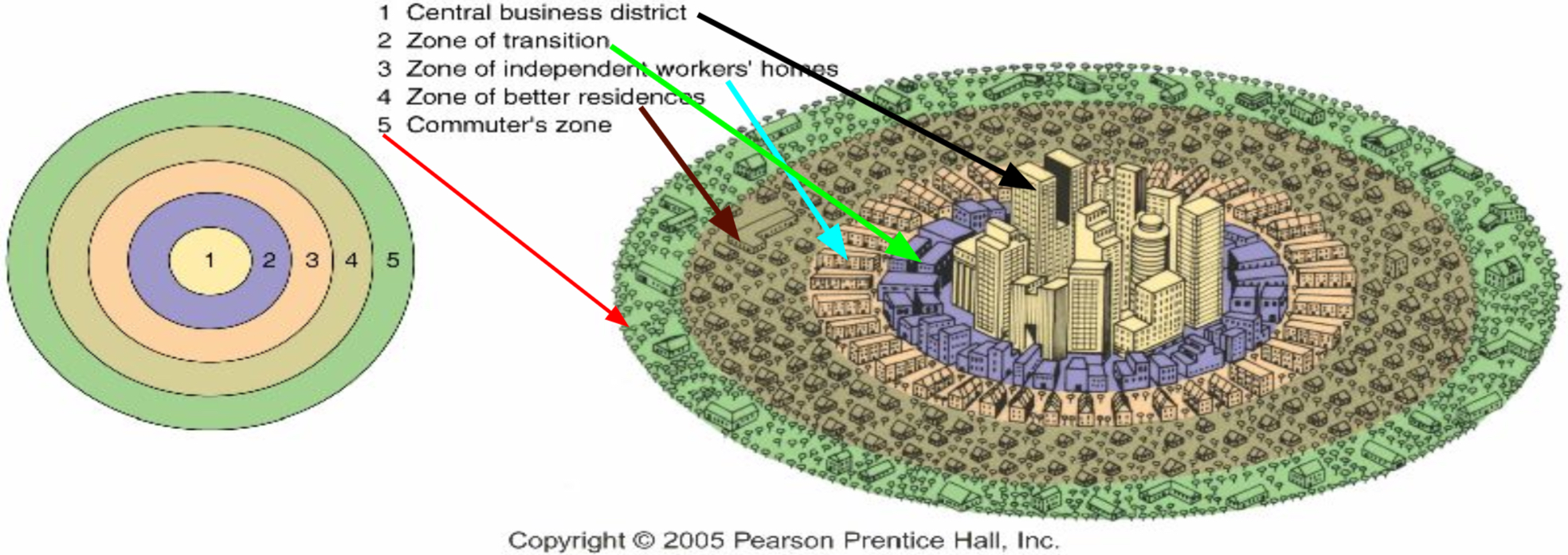 <p>Burgess Concentric-Zone Model</p>