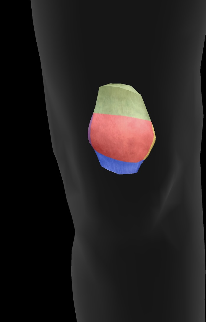 <p>The kneecap, which articulates with the femur at the patellar surface and provides structural support to the knee joint. </p>