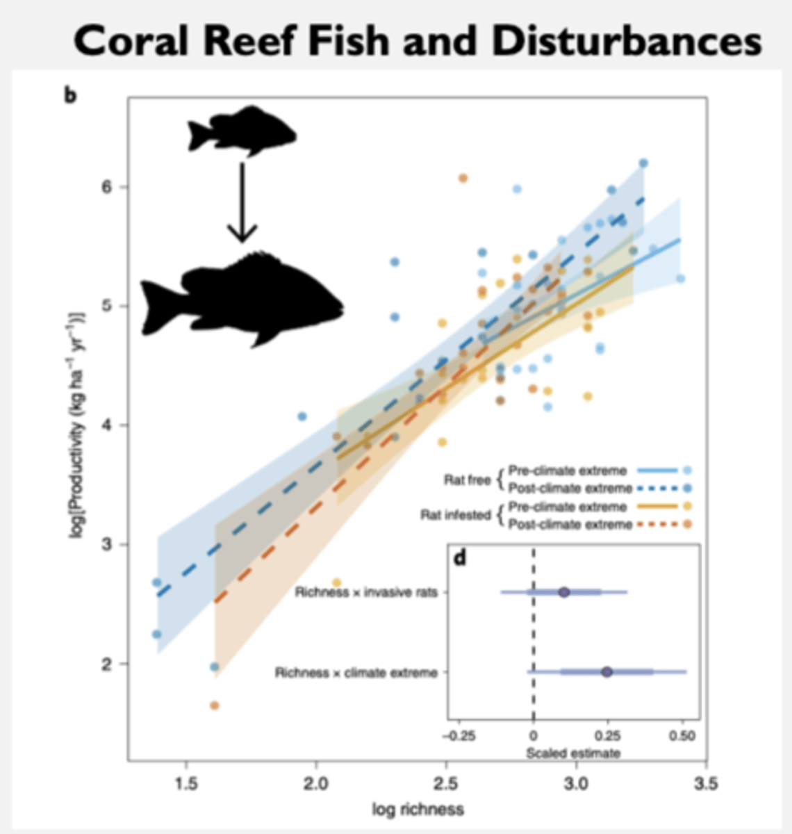 <p>Bleaching - Loss of Zooxanthellae Death of coral</p><p>1998 - 16% of the world's reefs destroyed (El Niño/La Niña pattern)</p><p>2005 - 80% bleached w/ 40% death across wider Caribbean</p><p>2010 - SE Asia, Indian Ocean: 50% cover reduced to 10% (pool superhot water)</p><p>Causes: disease, sedimentation, pollutants and changes in salinity, exposure, predation, physical contact</p><p>Also: Temp, Climate change, ocean acidification</p>