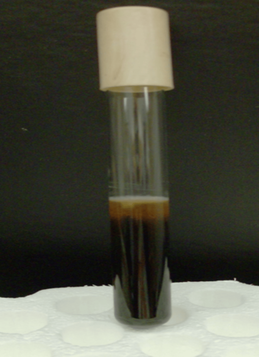 <p>More than 50% of tube is black</p>