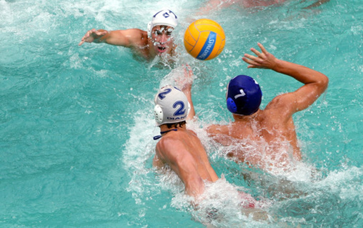 <p>to play water polo</p>