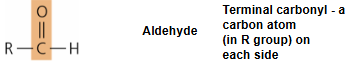 <p>functional group - aldehyde</p>