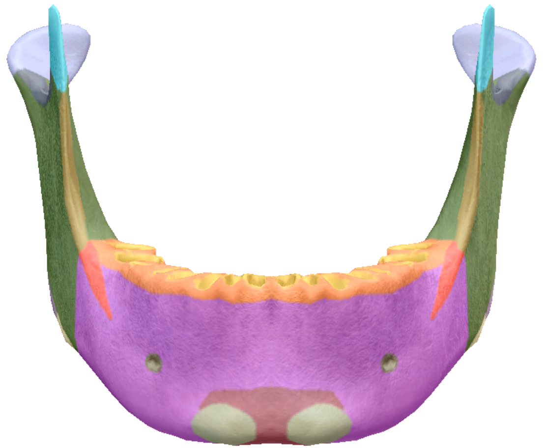 term image