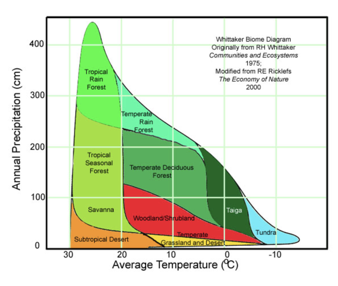 <p>Latitude (biomass) - factor that allows zonation</p>