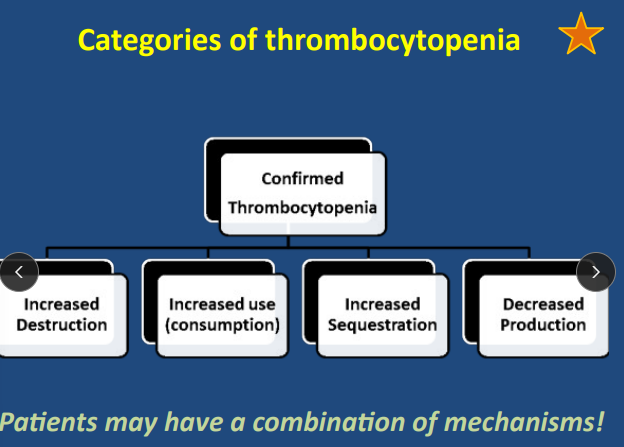 <p><span style="background-color: transparent;"><strong><span>Clinical Presentation of Thrombocytopenia</span></strong></span></p>