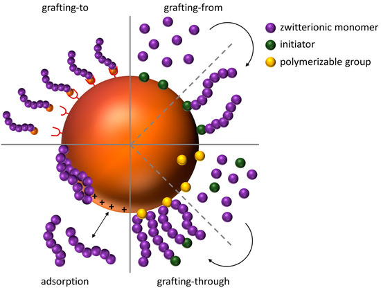 <p>Coating:</p><p>Polymer Adsorption</p>