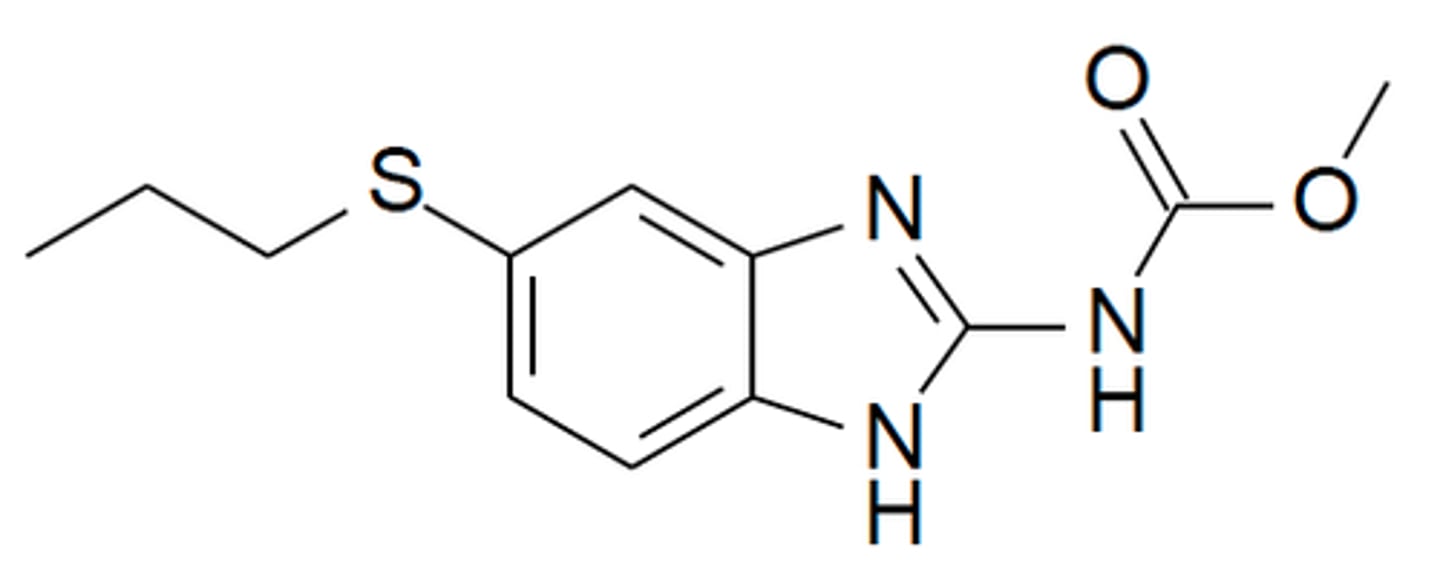 <p>inhibits fumarate reductase and binds to tubulin proteins to prevent tubulin polymerization to microtubules</p>