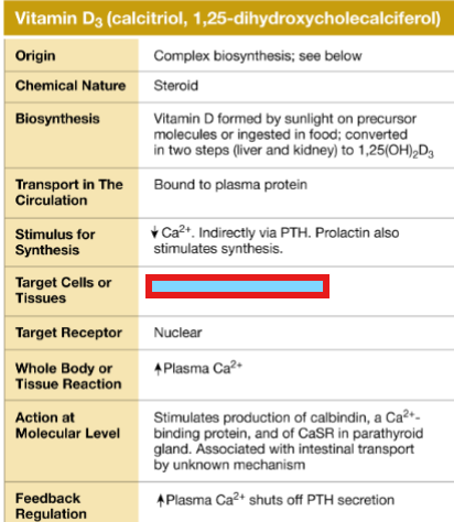 <p>What are the target cells or tissues of Vitamin D3?</p>