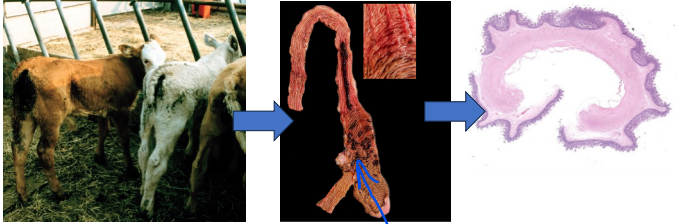 <p>What does this image show?</p>