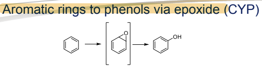 <p>Conversion to phenols via epoxide, catalyzed by CYP" </p>