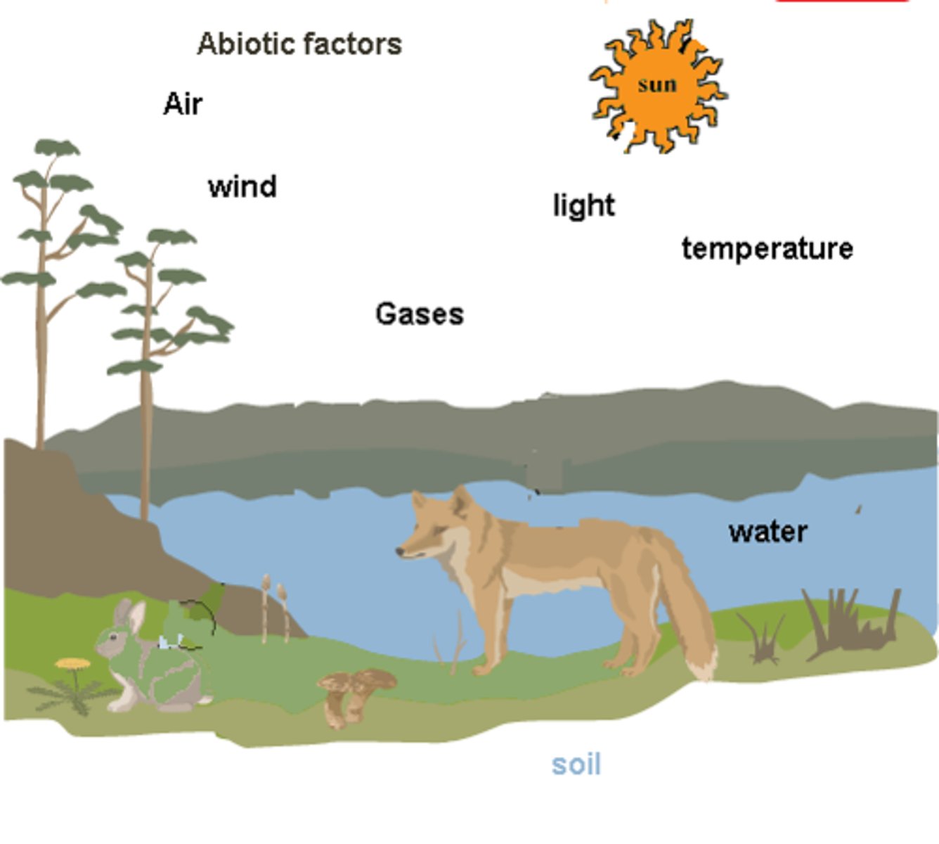 <p>Nonliving components of environment. (e.g air, water)</p>