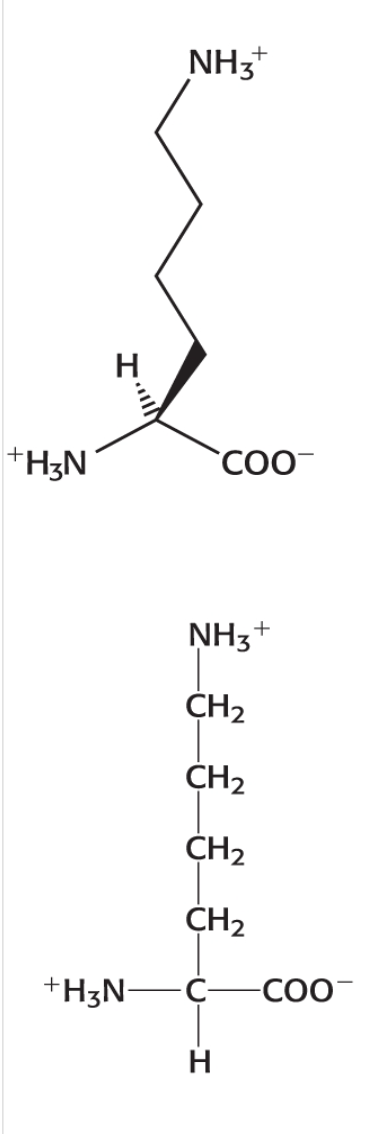 <p>Category: Positively Charged</p>