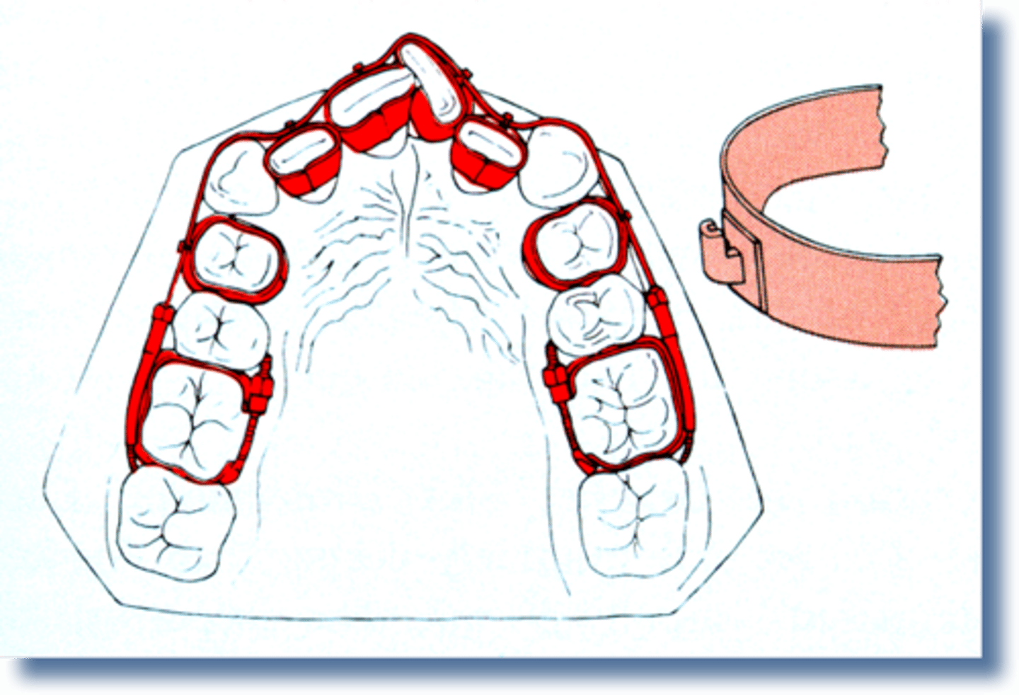knowt flashcard image