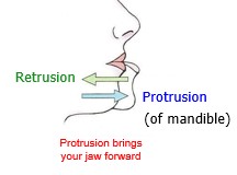 <p>Protrusion brings your jaw forward</p>