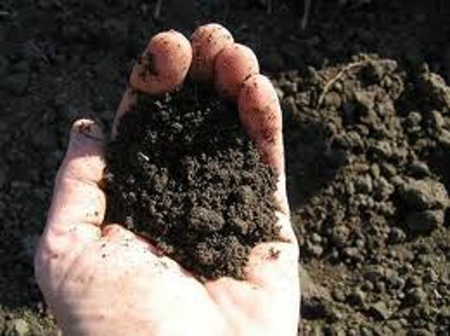 <p>a rich dark brown</p>