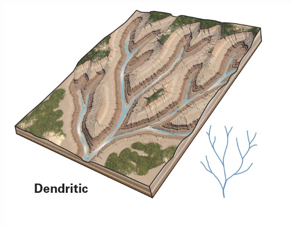 <p>fairly uniform substrate</p>