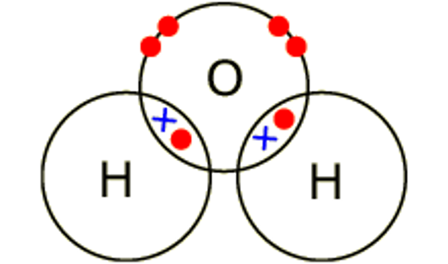 <p>The attraction of electrons in the covalent bond between hydrogen and oxygen atoms in a water molecule is ____</p>