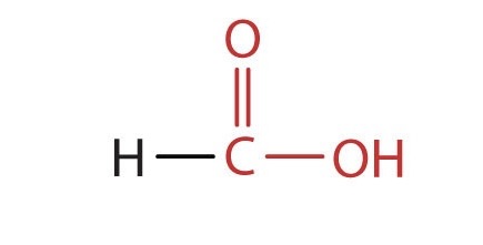 <p>methanoic acid</p>