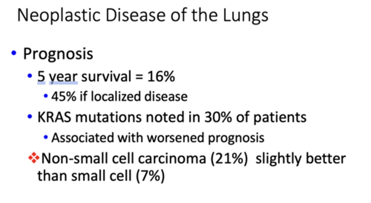 <p>small cell lung carcinoma</p>