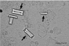 <p>What is this?</p>