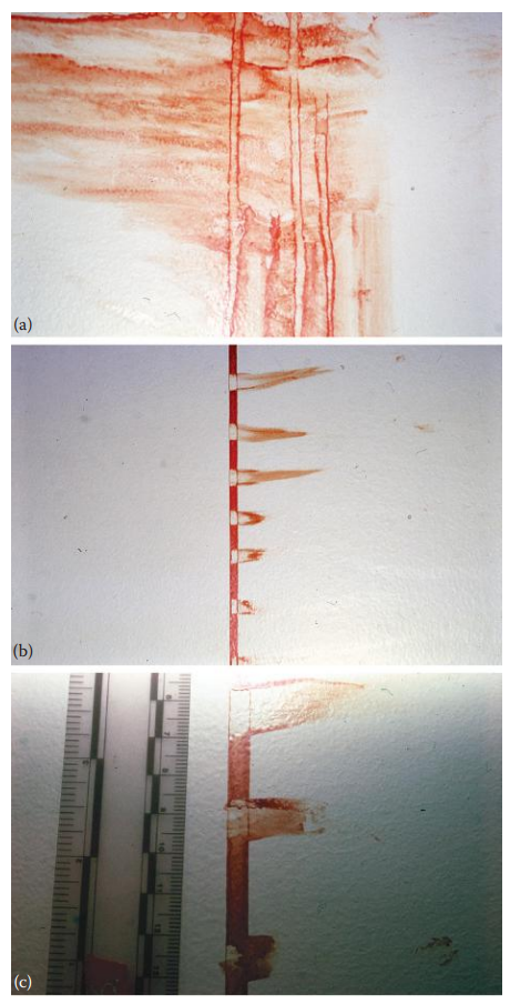 (a) Peripheral characteristics of the original stains are shown. Perimeter stains were created at different periods of time after the original stain was formed: (b) midrange view and (c) close-up view.