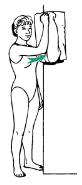 <p>This isometric shoulder exercise is called what?</p>