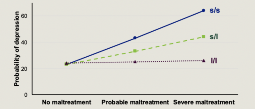 <ul><li><p>the 5-HTT s/s homozygote allele variant is not enough to cause MDD</p></li><li><p>a combination of the 5-HTT s/s variant and early stressful life events will increase chances of a later MDD diagnosis</p></li><li><p>the risk of MDD is thus an output of both one’s genetic predisposition and one’s environment</p></li></ul><p></p>