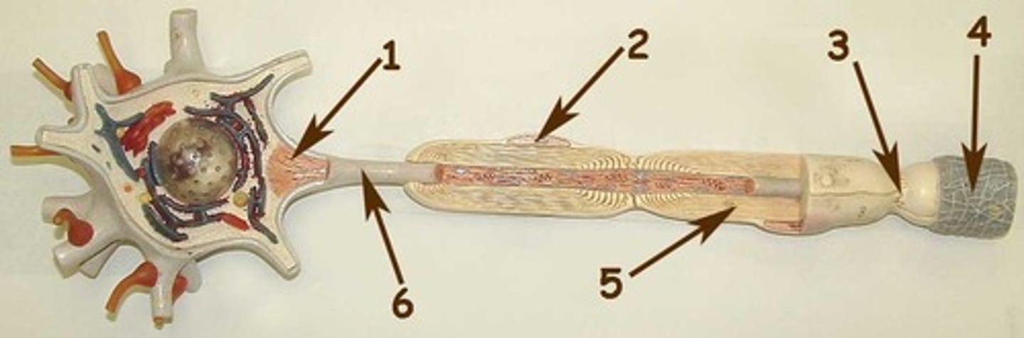 <p>4</p>