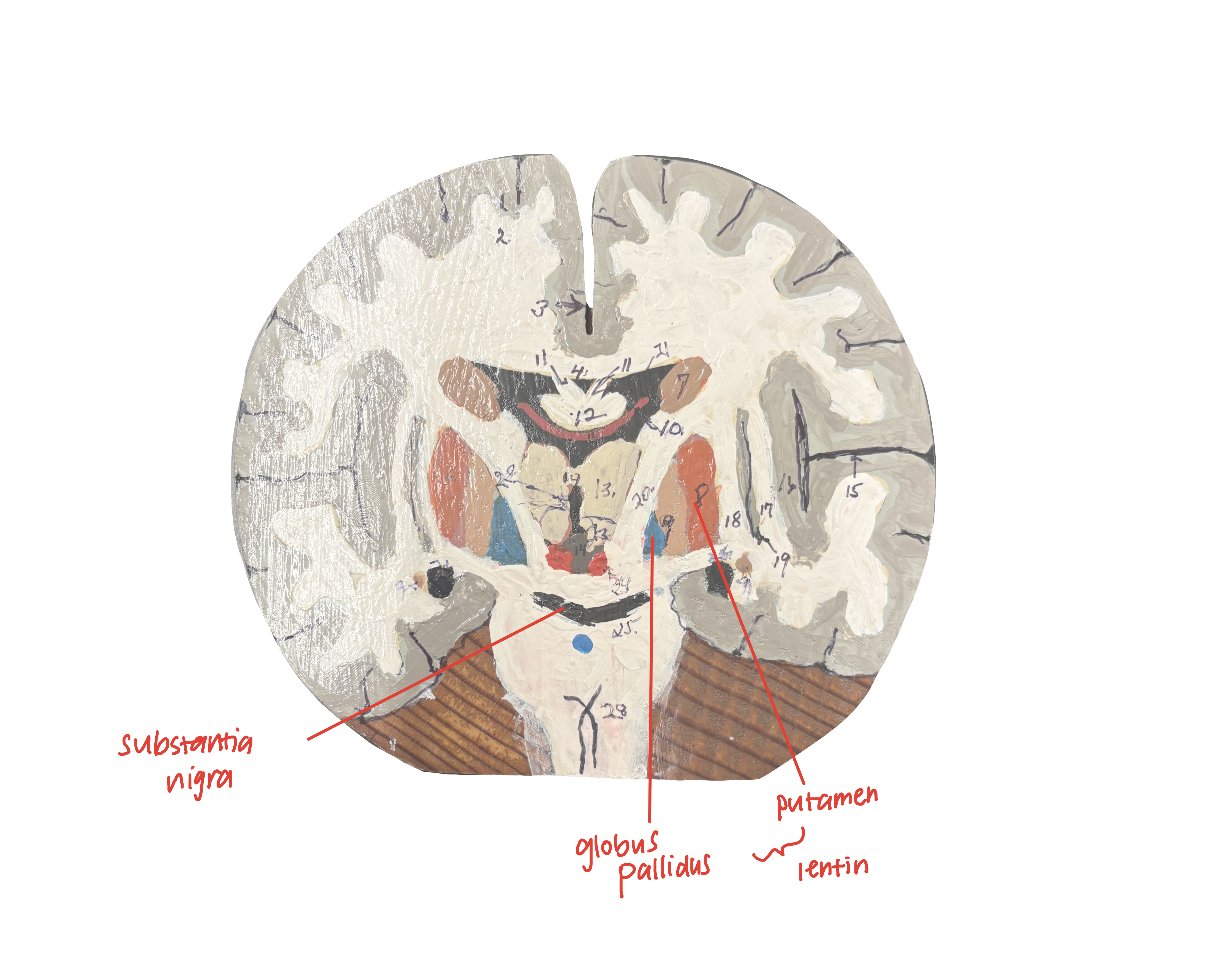 knowt flashcard image