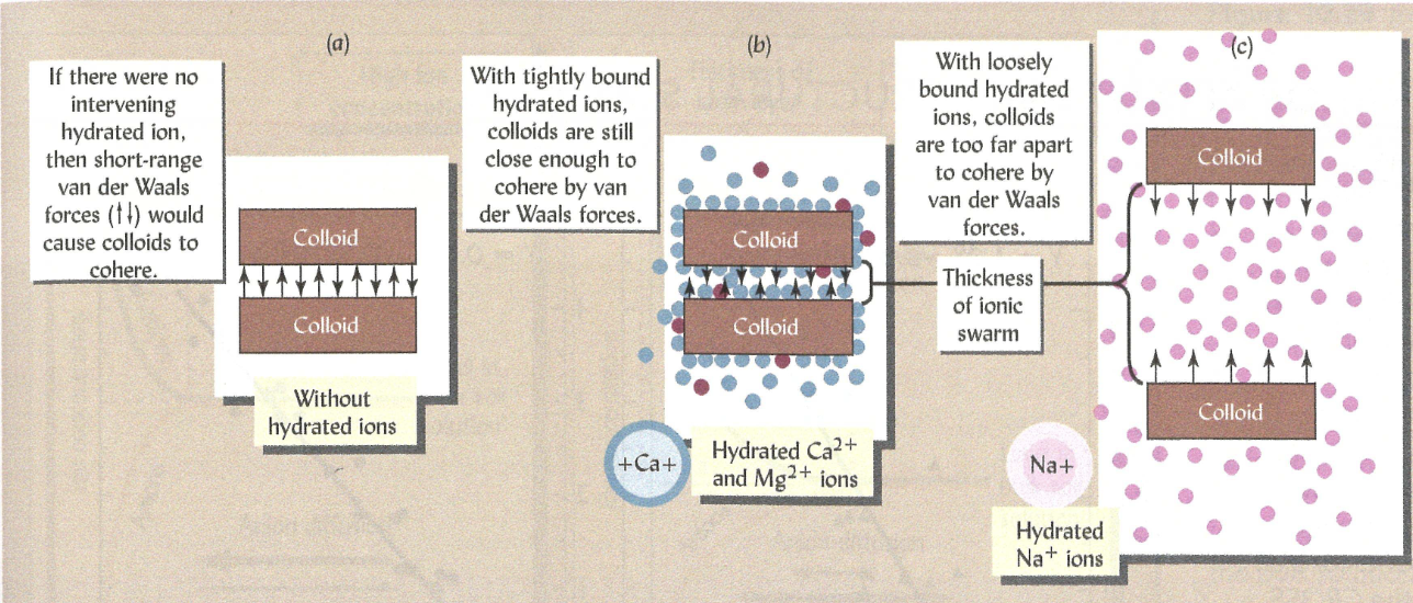 Soil colloid particles aggregation and charge of hydrated radius of cations influenced by soil structure<br /> 