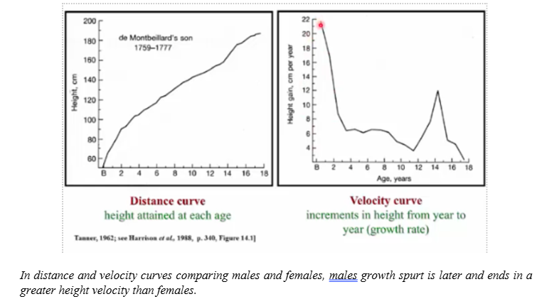 <p>-distance curves: height attained in cm at successive ages, somatic distance curve is S-shaped</p><p>-velocity curves: increment in stature from one stage to the next, adolescent growth spurt (i.e. rates of growth)</p>