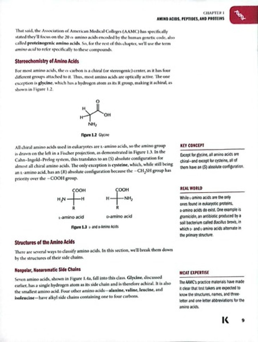 <p>Central carbon in amino acids with four groups.</p>