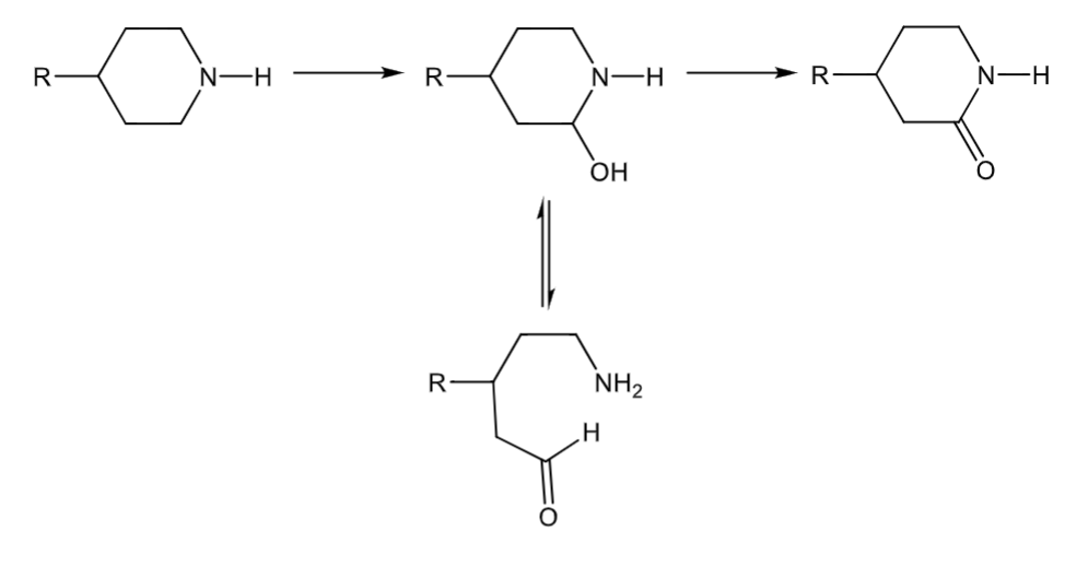 <p>forms a carbinolamine that can break the ring</p>