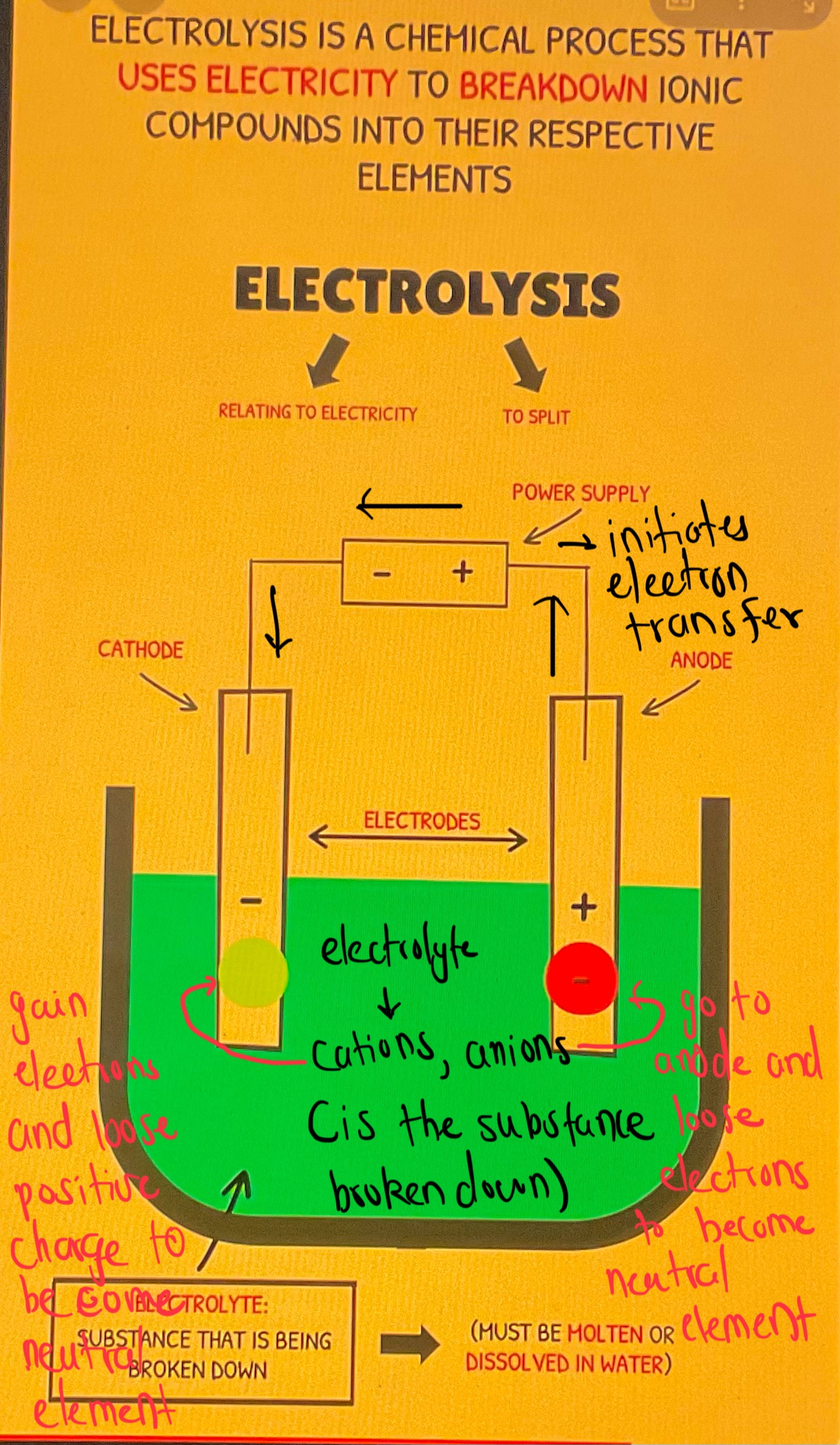 knowt flashcard image