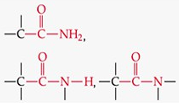 <p>–CONH₂ (carbonyl bonded to NH₂).</p>